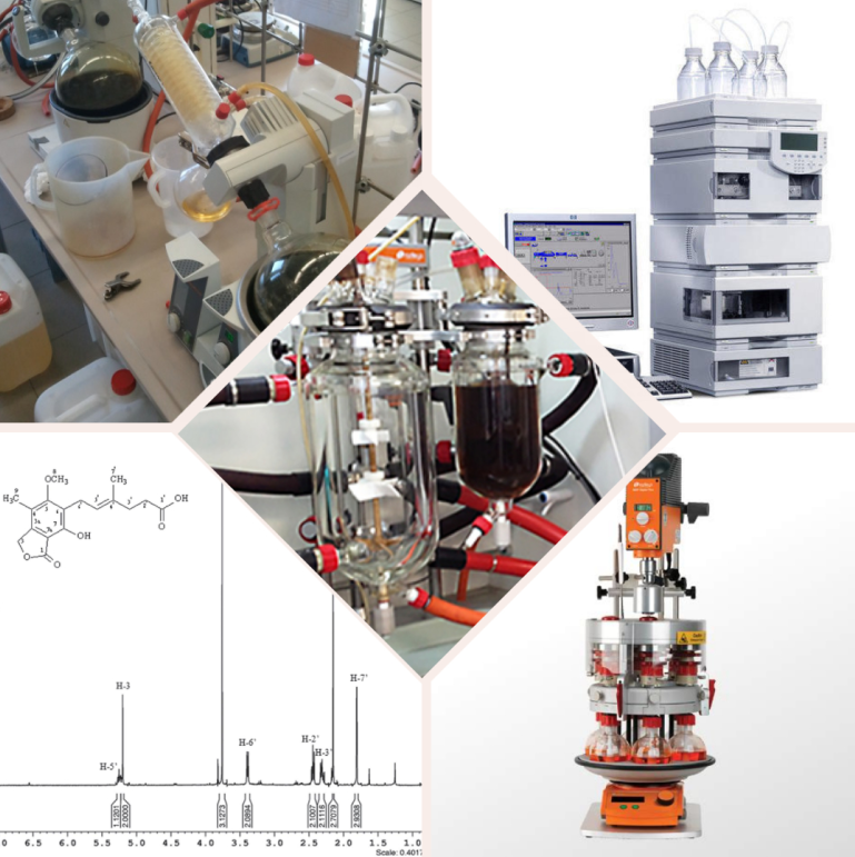 Collage sintesis orgánica